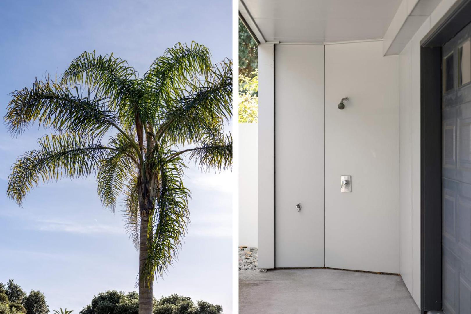 Pacific Escape - Downtown, Beach & Sea Views Mount Maunganui Exterior foto